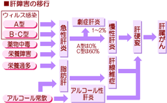 kansyougai_m.gif